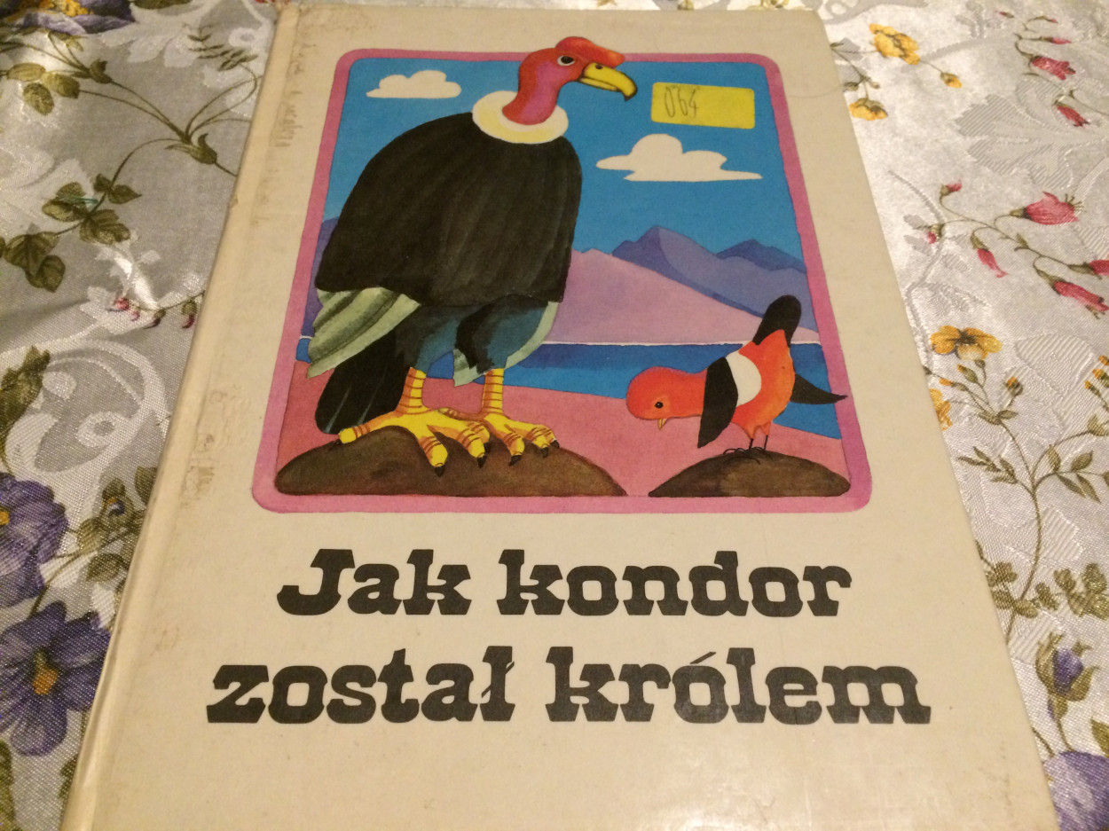 Książka Jak kondor został królem Kurt Kauter