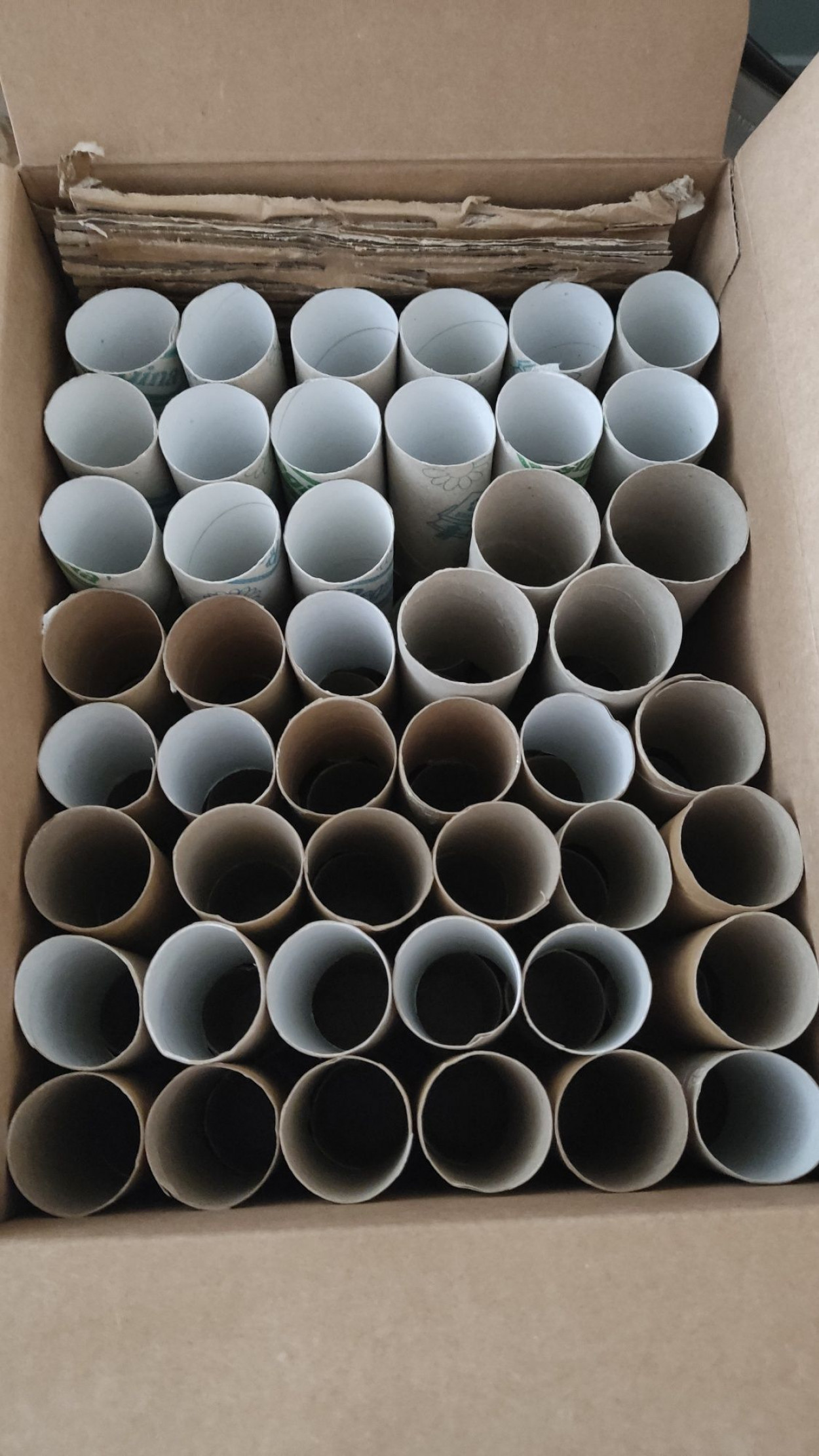 Rolki po papierze toaletowym do DIY