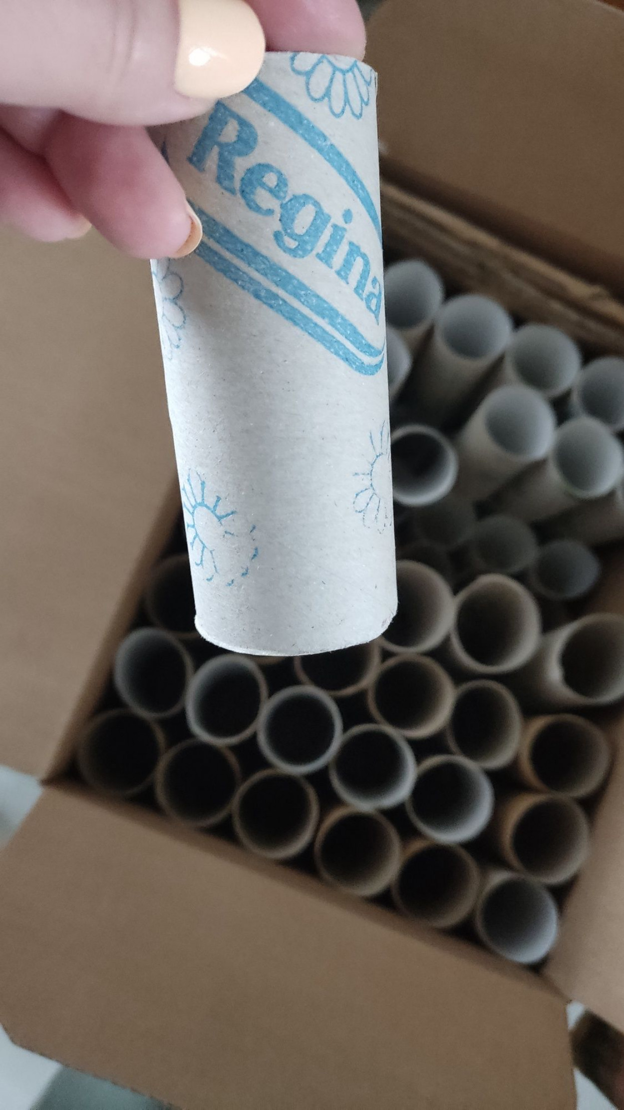 Rolki po papierze toaletowym do DIY